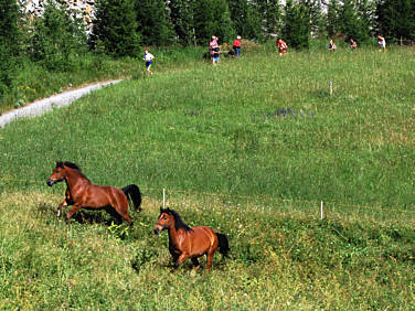 Zermatt - Marathon 2008