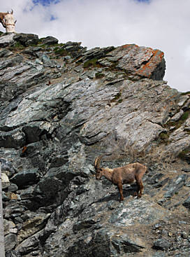 Zermatt - Marathon 2008