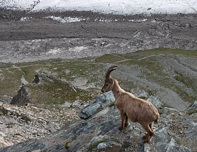 Zermatt - Marathon 2008