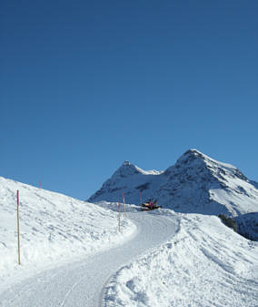 Arosa Snow Run und Walk Event 2009