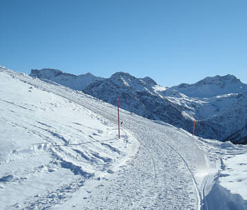 Arosa Snow Run und Walk Event 2009