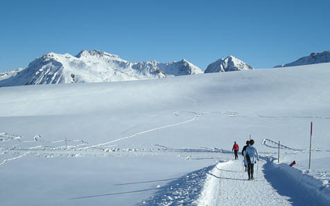 Arosa Snow Run und Walk Event 2009