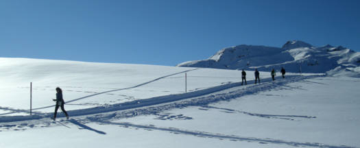 Arosa Snow Run und Walk Event 2009