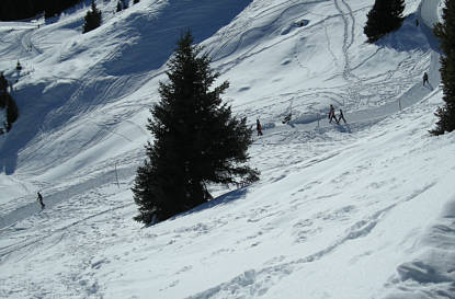 Arosa Snow Run und Walk Event 2009