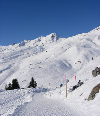 Arosa Snow Run und Walk Event 2009