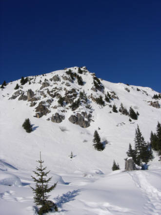 Arosa Snow Run und Walk Event 2009