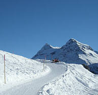 Arosa Snow Run und Walk Event 2009