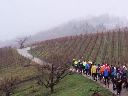 Eisweinlauf 2009