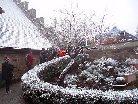 Eisweinlauf 2009