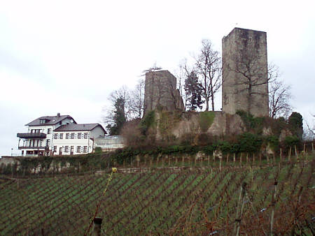 Eisweinlauf 2009