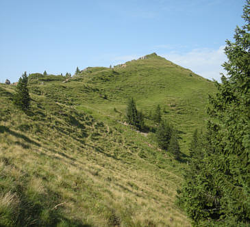 Gebirgsmarathon Immenstadt 2009