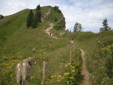 Gebirgsmarathon Immenstadt 2009