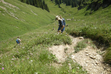 Gebirgsmarathon Immenstadt 2009