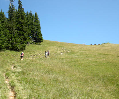 Gebirgsmarathon Immenstadt 2009