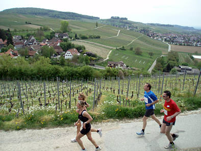 Genusslauf Halbmarathon Mllheim 2009