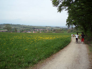 Genusslauf Halbmarathon Mllheim 2009