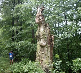 Rennsteig Supermarathon 2009