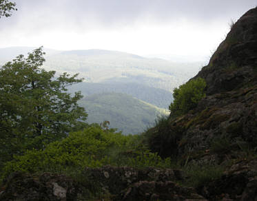 Rennsteig Supermarathon 2009