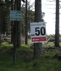 Rennsteig Supermarathon 2009