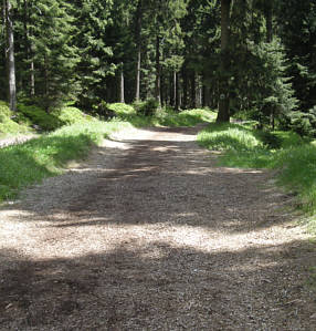 Rennsteig Supermarathon 2009