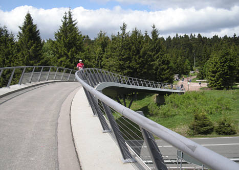 Rennsteig Supermarathon 2009