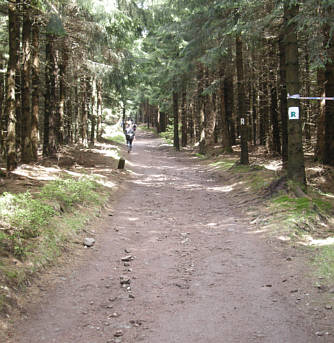 Rennsteig Supermarathon 2009