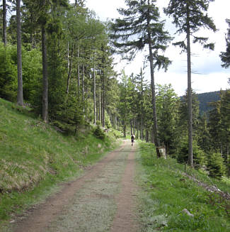 Rennsteig Supermarathon 2009