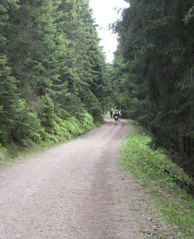 Rennsteig Supermarathon 2009