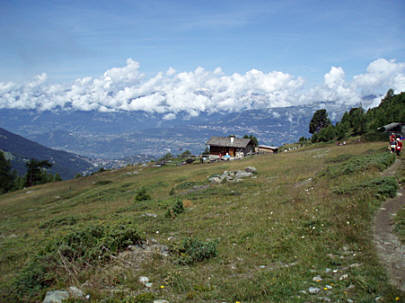 Sierre-Zinal 2009