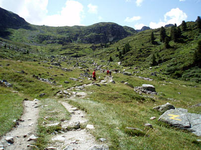 Sierre-Zinal 2009