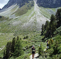 Sierre-Zinal 2009