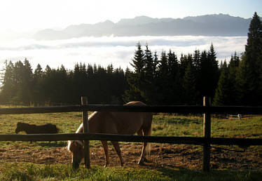 Allgu Panorama Ultratrail