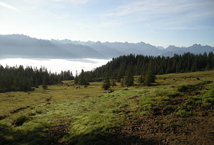 Allgu Panorama Ultratrail