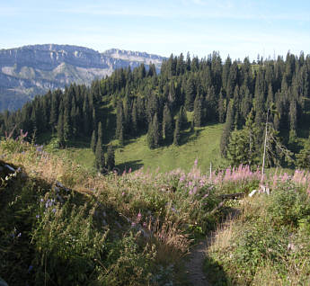 Allgu Panorama Ultratrail