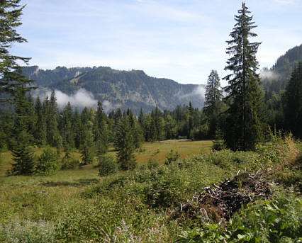 Allgu Panorama Ultratrail