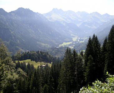 Allgu Panorama Ultratrail