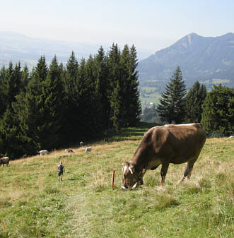 sonthofen-ultratrail-2009-