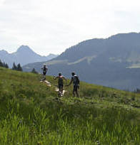 Allgu Panorama Ultratrail