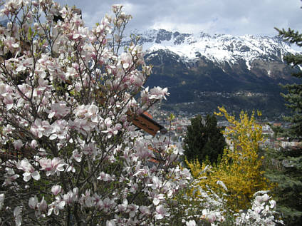 Tiroler Abenteuerlauf 2009