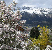 Tiroler Abenteuerlauf 2009