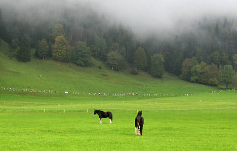 Tour de Tirol 2009