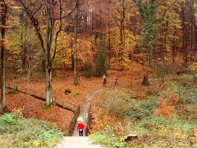 Trailrun-Worldmasters 2009