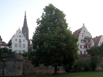 Ulmer Laufnacht 2009