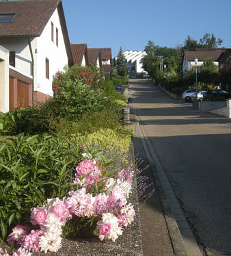 Ulmer Laufnacht 2009