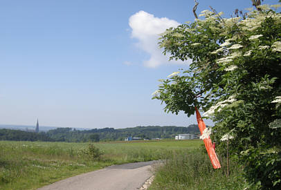 Ulmer Laufnacht 2009