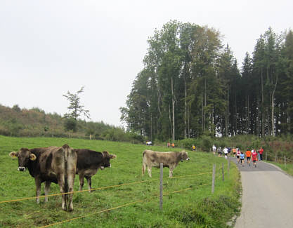 Voralpen-Marathon Kempten 2009 