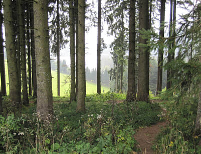 Voralpen-Marathon Kempten 2009 