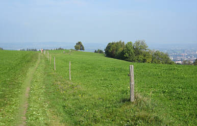 Voralpen-Marathon Kempten 2009