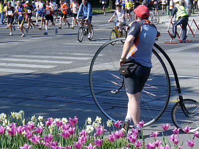 Wien Marathon 2009