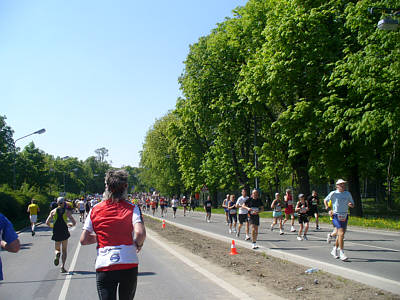 Wien Marathon 2009